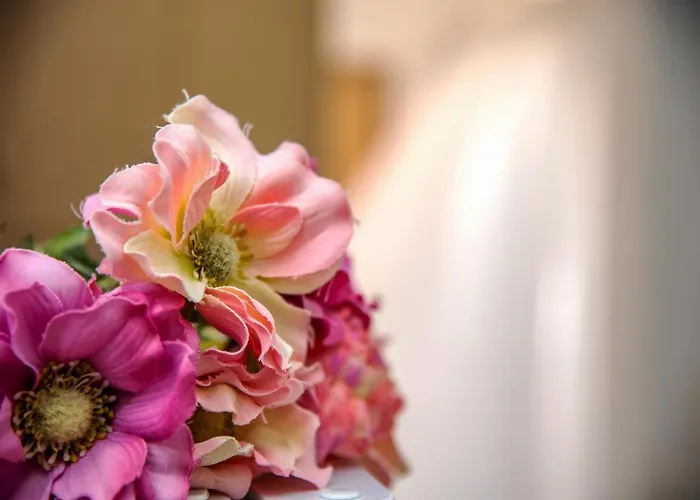 公寓 Nikis 2 干尼亞