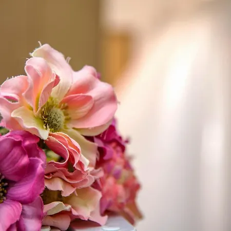 アパート Nikis 2 ハニア